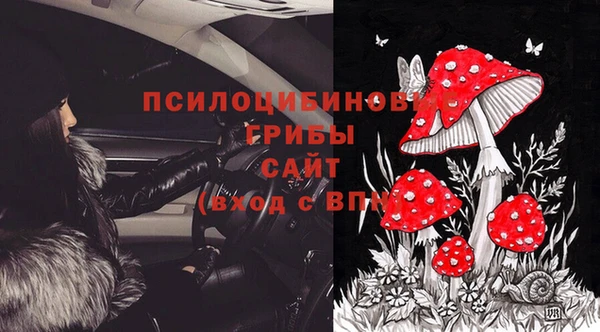 spice Алексин