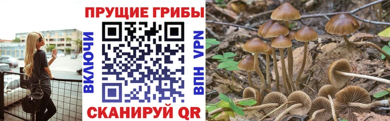 Галлюциногенные грибы мицелий  blacksprut сайт  Петропавловск-Камчатский 