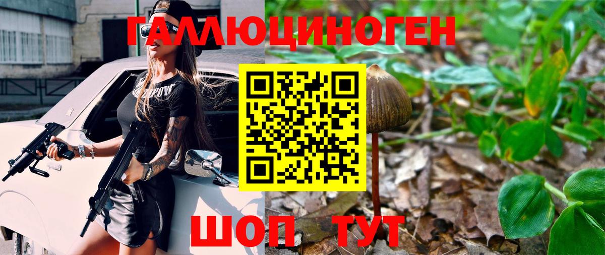 Галлюциногенные грибы мицелий Петропавловск-Камчатский