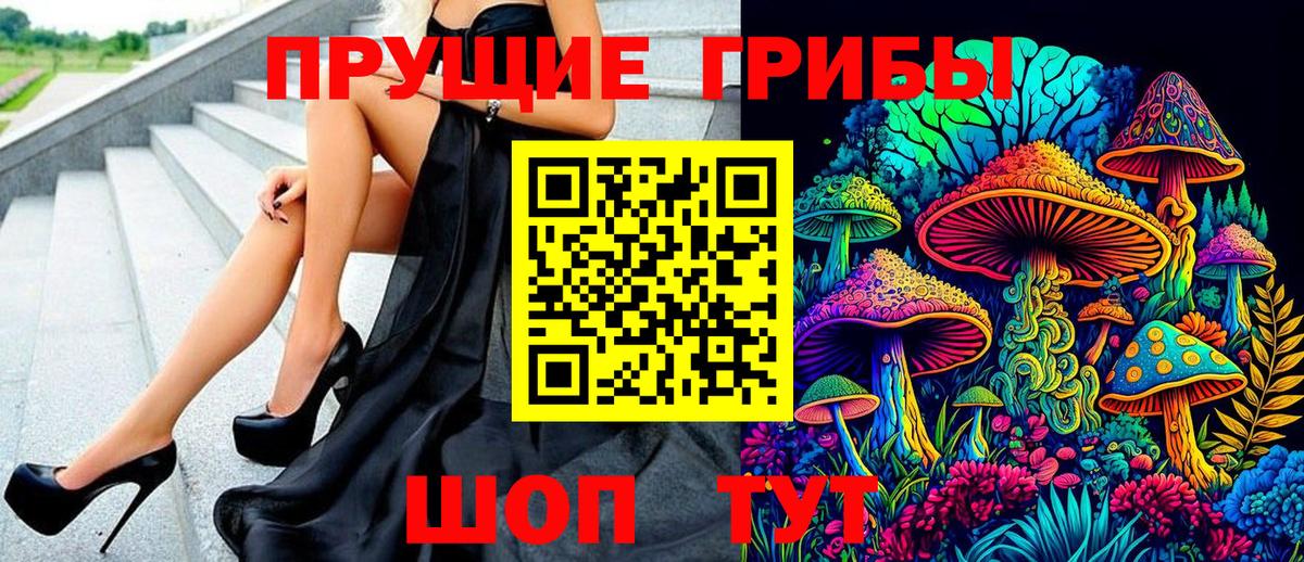 Галлюциногенные грибы прущие грибы  Псилоцибиновые грибы мицелий  закладка  Петропавловск-Камчатский  Вход с VPN 
