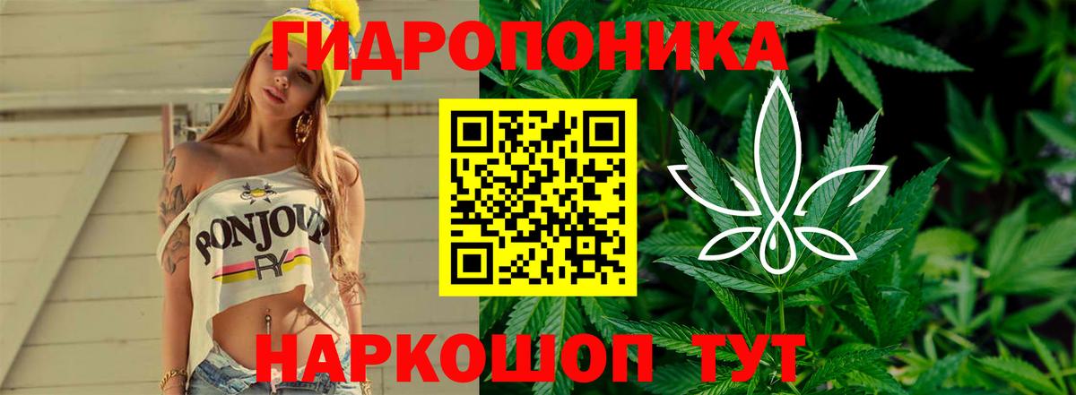 Канабис тримм  Конопля тримм  Конопля семена  Вход с VPN  Бошки марихуана гибрид  Петропавловск-Камчатский 